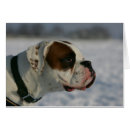 Search for bob and pam langrish Canine photographer