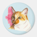 Search for tabby magnets Cat lady
