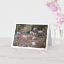 Search for roseate cards Animal
