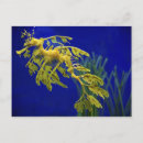 Search for deep sea fish postcards Animal