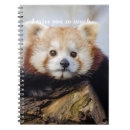 Search for cute panda notebooks Bear