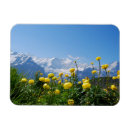 Search for grindelwald magnets Jungfrau