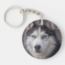 Search for siberian husky key rings Winter