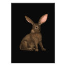 Search for cute rabbits posters Brown