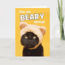 Search for cute cat birthday cards Humor