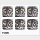 Search for kitty face stickers Animal
