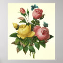 Search for redoute posters Nature