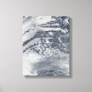 Search for pacific canvas prints White