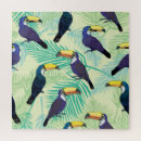 Search for toucan puzzles Background