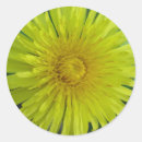 Search for dandelions stickers Country