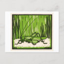 Search for green cricket postcards Grasshopper