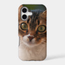 Search for fluffy kitten iphone cases Adorable