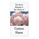 Search for christmas book accessories Reading