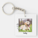 Search for pet loss key rings Loss of dog
