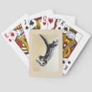 Search for fish playing cards Cool