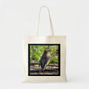 Search for cedar bags Wildlife