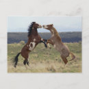 Search for ken postcards Farm