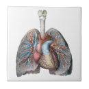 Search for humanity tiles Medical