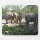 Search for elephant mousepads Animals