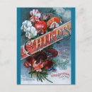 Search for sweet pea flowers postcards Vintage