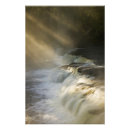 Search for rapid posters Sky