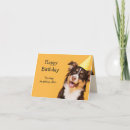 Search for inner cards Cute