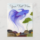 Search for betta postcards Blue