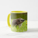 Search for baby hedgehog mugs Germany
