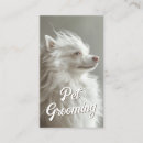 Search for pet portrait business cards Dog walker