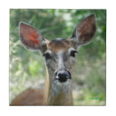 Search for doe tiles Deer