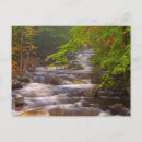 Search for flows postcards Creek