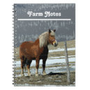 Search for paddock Farm
