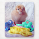Search for poultry mousepads Bird