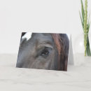 Search for draught horses cards invites Percheron