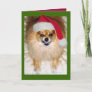 Search for bad christmas cards Santa