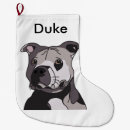 Search for american bulldog Pit bull