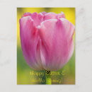Search for easter vertical postcards Tulips