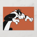Search for sylvester postcards Looney tunes cat
