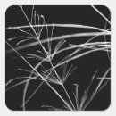Search for black and white pattern stickers Nature