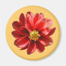 Search for dahlia magnets Red