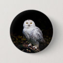 Search for snowy badges Owl
