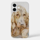 Search for bloodhound iphone cases Pets