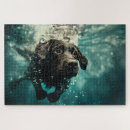 Search for underwater puzzles Dog products