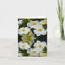 Search for clematis cards White