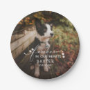 Search for paw print paper plates Dog