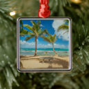 Search for coconut christmas tree decorations Beach