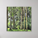 Search for eucalyptus tree posters Nature