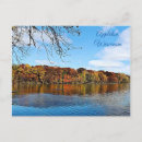 Search for appletons Trees