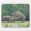 Search for mating mousepads Nature
