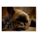 Search for spain photography Cute